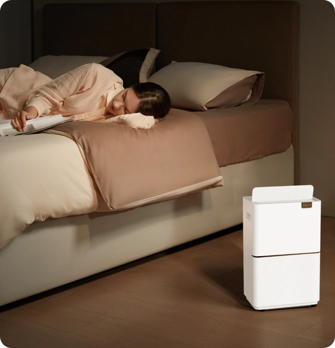 Une déshumidification discrète pour une <br class="dd20c-small-hide">nuit paisible