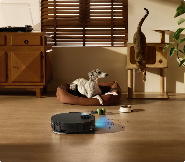 Nettoyage ciblé des zones où évoluent les animaux de compagnie