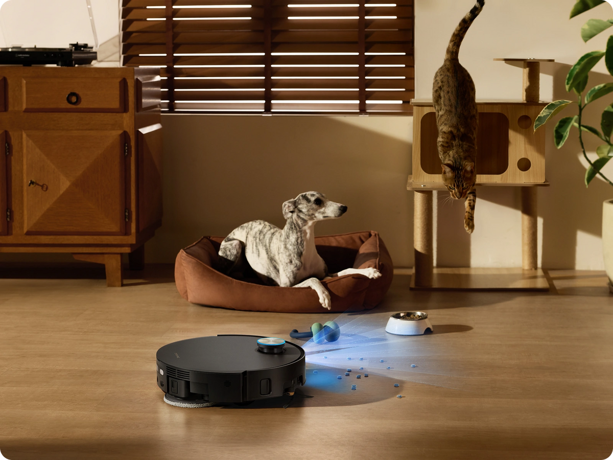 Nettoyage ciblé des zones où évoluent les animaux de compagnie