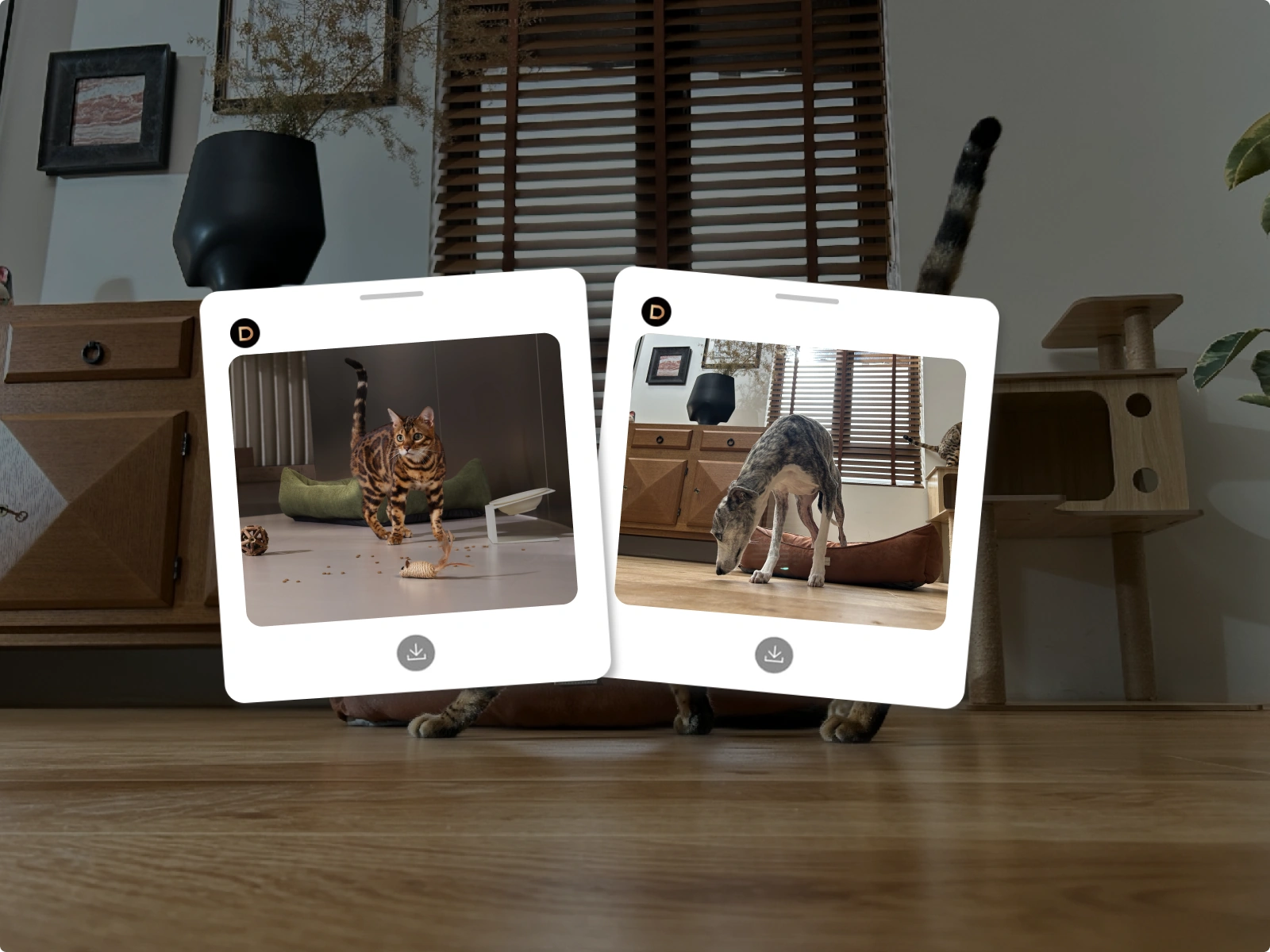 Une nouvelle vision sur les habitudes des animaux